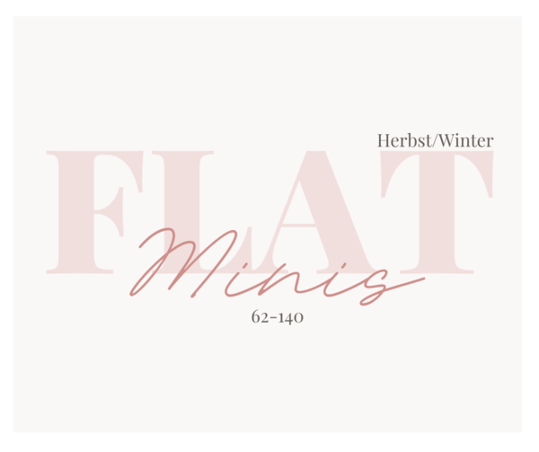 Ebook-Flatrate Herbst/Winter Minis 62-140